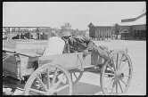 [Man in farm wagon]