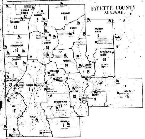 Fayette County Voting Districts