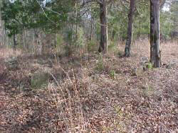 Montgomery (et
          al) Family Cemetery