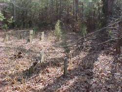 Vick-Kelley Cemetery