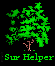 Surname Helper