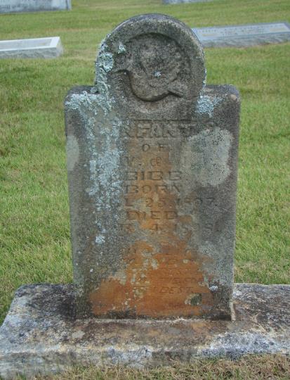 Infant Bibb