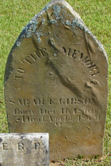 Sarah E Gibson