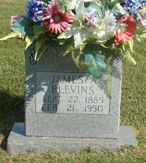 James A Blevins
