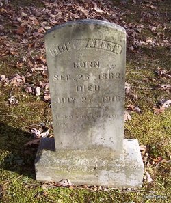 Tom Allen
