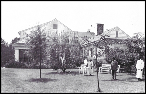 Blue Spring Farm